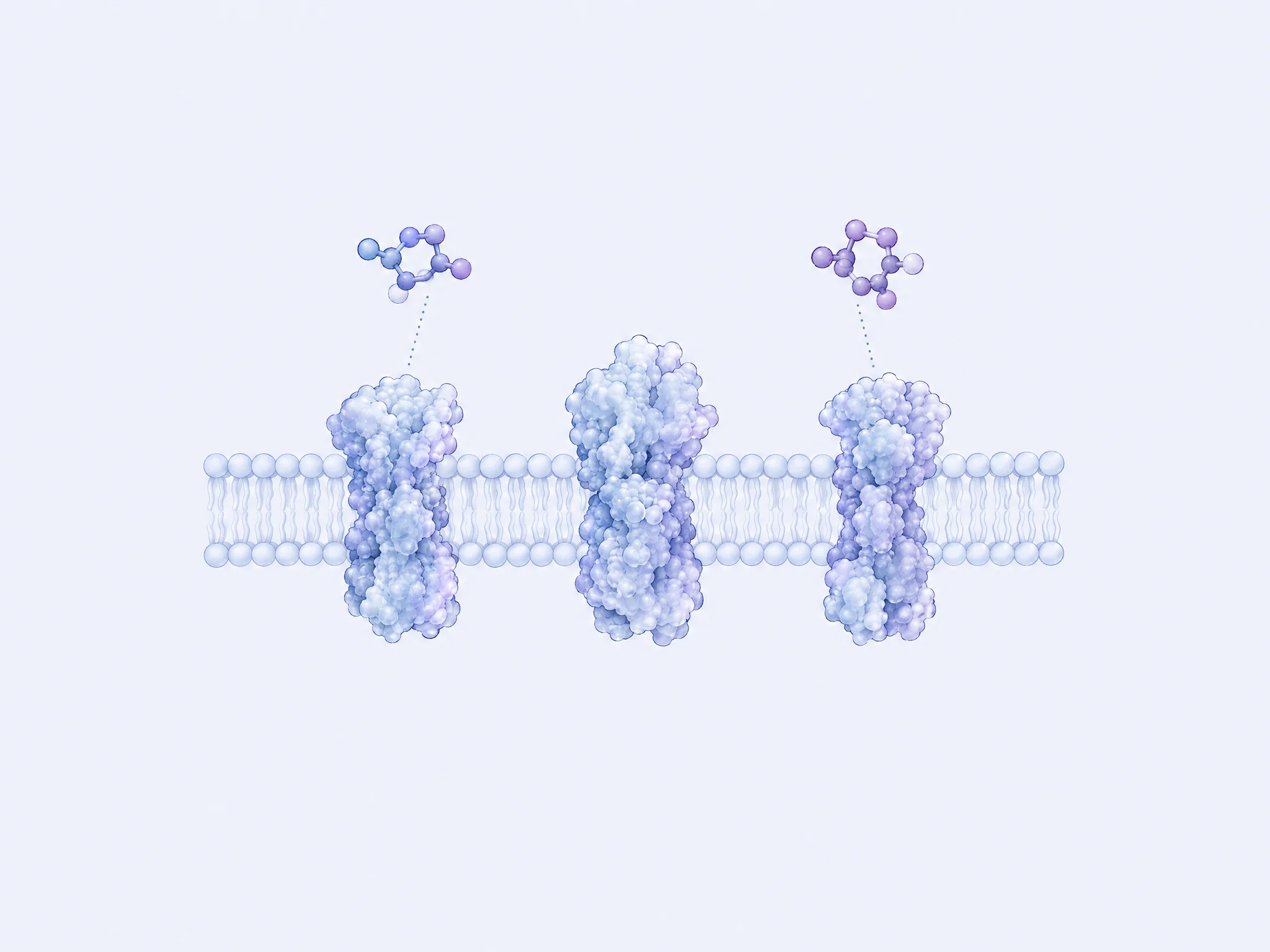 Conceptual illustration of complementary molecules and multiple membrane receptors
